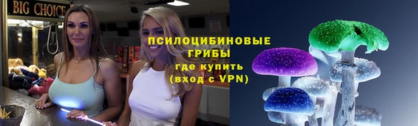 дживик Протвино