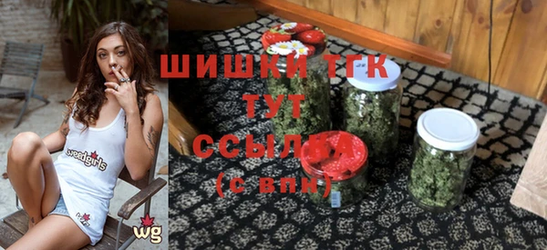 гашик Балахна